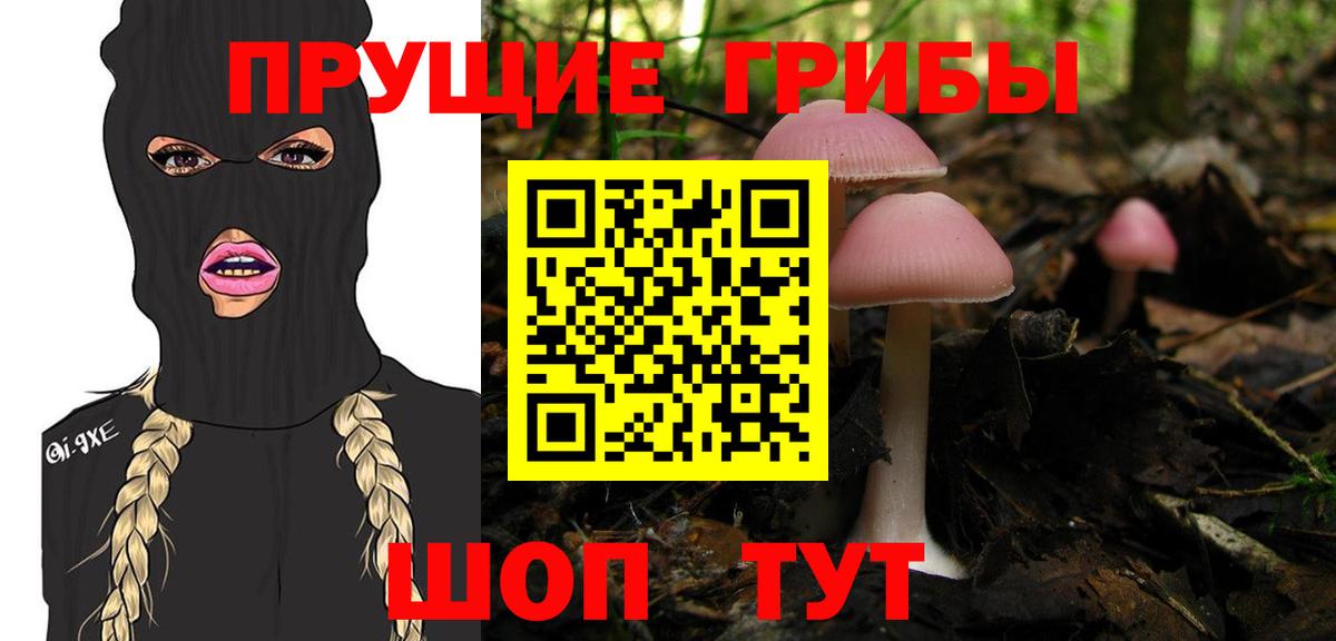 Псилоцибиновые грибы ЛСД Нижний Новгород